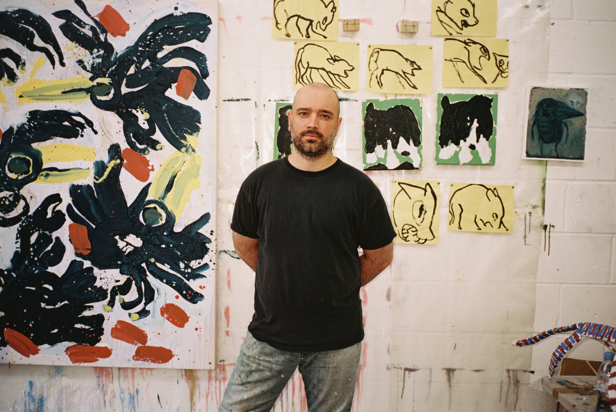Curator Picks: David Surman