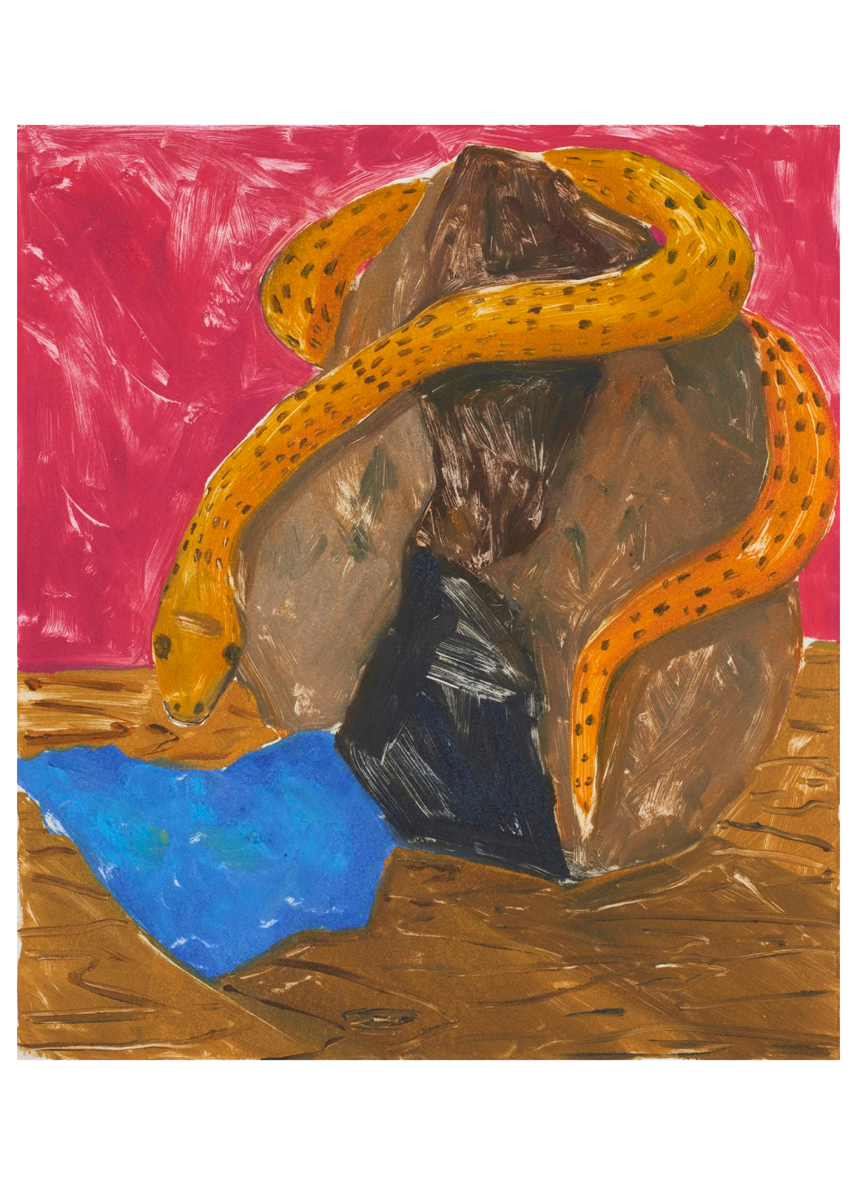 Snake on rock